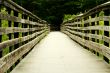 Wooden bridge through the forest