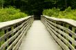 Wooden bridge through the forest