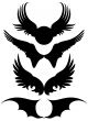 set of wings