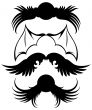 set of wings