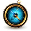  compass
