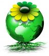 World bio flower
