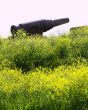 Old Russian Cannon in Suomenlinna 