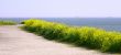 Panorama View Of Finland Gulf 