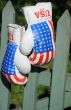 Boxing Gloves on the Fence