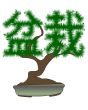 Japanese bonsai tree in the form of hieroglyphs