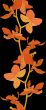 seamless texture