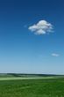 Rural summer landscape