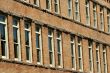 Rows of windows on a building