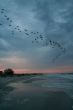 Autumn on the beach