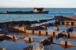 Cemetery of ships.