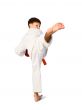 Aikido boy.Martial Arts