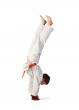 Aikido boy.Martial Arts