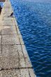 Cormorant sitting next to the pool