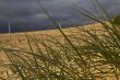 Storm behind beach grass 2