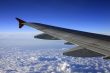 Wing of the plane