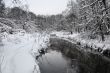 Winter wood