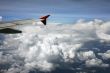 Wing of the plane