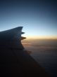 Wing of the plane