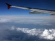 Wing of the plane 