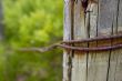 Rusty fence 2