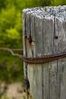 Rusty fence