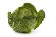 Savoy cabbage