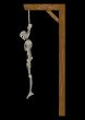 Hanging Skeleton