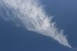 Fleecy  Cloud
