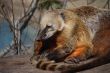Relax in the wildlife park