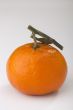 Orange Tangerine