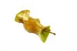 apple core on a white background