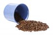 Coffee Bean