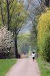 Jogging in a Park