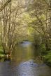 River