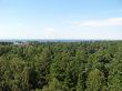 Forest and Baltic sea