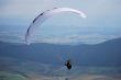 paragliders