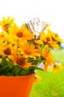 Bouquet of yellow flowers with a butterfly