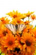 Bouquet of yellow flowers with a butterfly