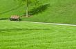 wooden bench in a city park