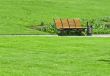 wooden bench in a city park