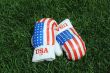 Boxing Gloves on the Grass 