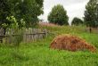 In the Russian Countryside in the Summer