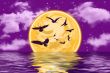 birds on the sky
