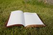 Open Bible laying on the green grass