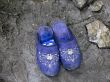 Blue slippers wait for master