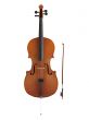 Cello