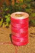 Pink coil on the soil
