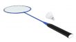 Badminton racquet with shuttlecock