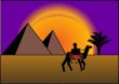  on background of the pyramids